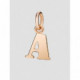 Dodo charm inicial.