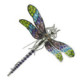 Broche Art Nouveau libélula